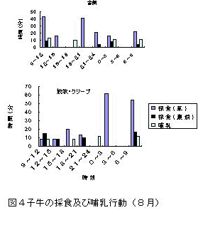 図4子牛の採食及び哺乳行動(8月)