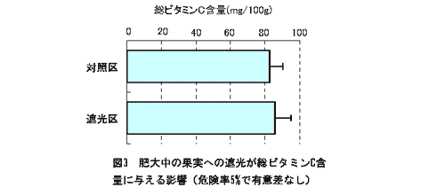 図3 肥大中の果実への遮光が総ビタミンC含量に与える影響(危険率5%で有意差なし)