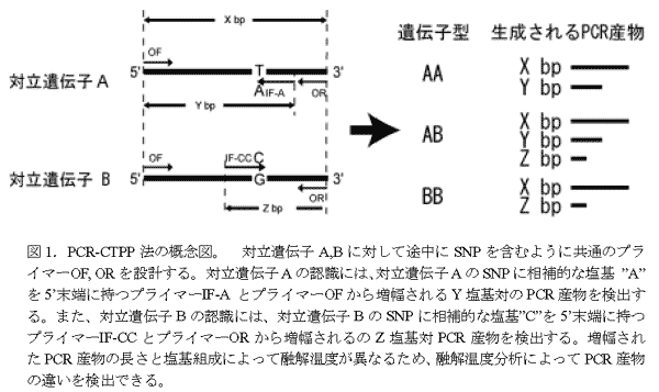 図1.PCR-CTPP法の概念図。