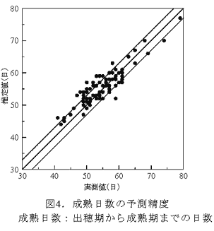 図4.成熟日数の予測精度