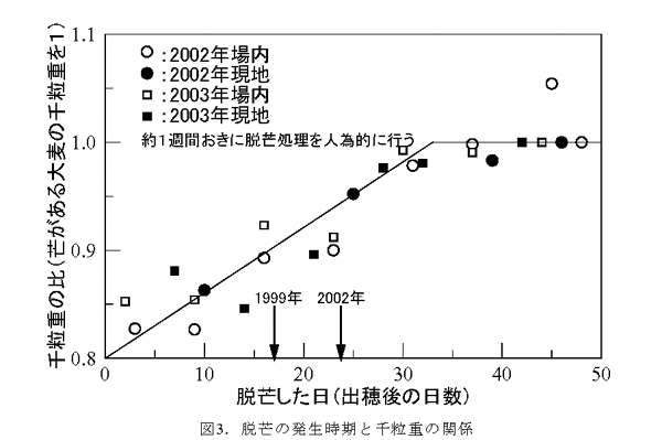 図3.脱芒の発生時期と千粒重の関係