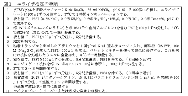 図1 エライザ検定の手順