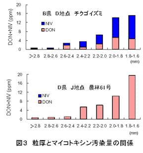 図3 粒厚とマイコトキシン汚染量の関係