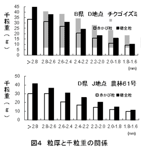 図4 粒厚と千粒重の関係