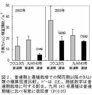 図2.普通期と遅植栽培での開花期以降のカメムシ類の積算密度比較。バーはS.E.,括弧数字は普通期栽培に対する割合。九州143号遅植は普通期植に比べ有意に低密度(P<0.05)
