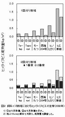 図2 飼料イネ栽培におけるヒメタイヌビエの生育(2002年)