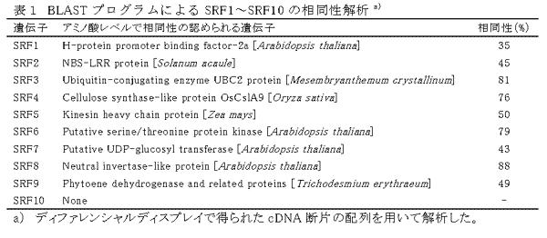 表1 BLASTプログラムによるSRF1～SRF10の相同性解析