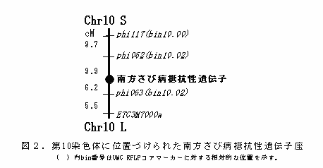 図2.第10染色体に位置づけられた南方さび病抵抗性遺伝子座