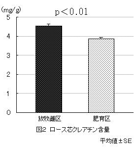 図2 ロース芯クレアチン含量