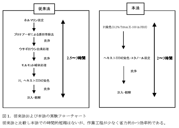 図1.従来法および本法の実験フローチャート