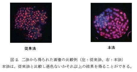 図2.二法から得られた画像の比較例(左:従来法、右:本法)