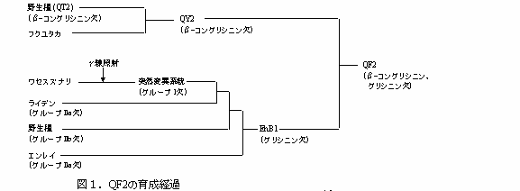 図1 QF2の育成経過