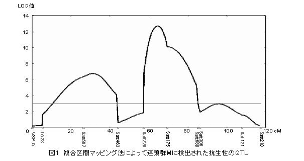 図1 複合区間マッピング法によって連鎖群Mに検出された抗生性のQTL