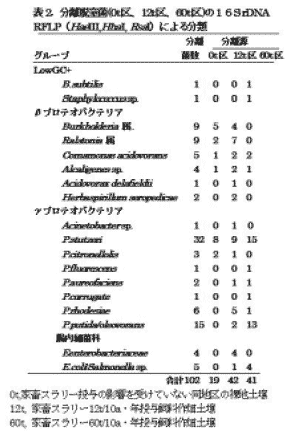 表2 分離脱窒菌(0t区、12t区、60t区)の16SrDNARFLPによる分類