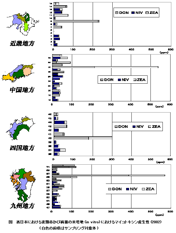 図 西日本における麦類赤かび病菌の米培地(in vitro)におけるマイコトキシン産生性(2002)