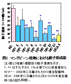 図1 マングビーン培地における胞子形成能