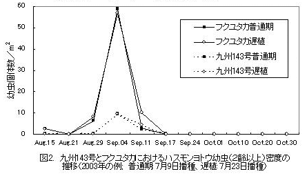 図2 九州143号とフクユタカにおけるハスモンヨトウ幼虫(2齢以上)密度の推移