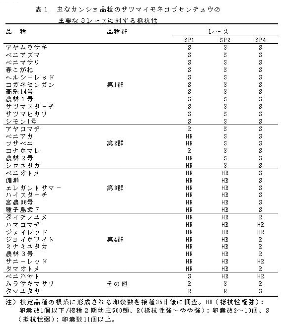 表1 主なカンショ品種のサツマイモネコブセンチュウの主要な3レースに対する抵抗性