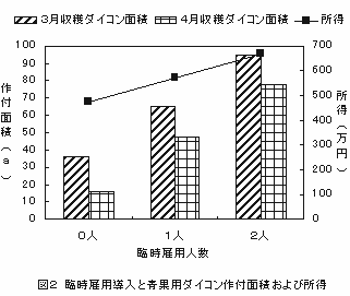 図2 臨時雇用導入と青果用ダイコン作付け面積及び所得