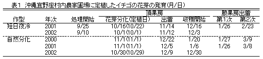 表1 沖縄宜野座村内農家圃場に定植したイチゴの花芽の発育