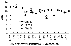 図2 沖縄宜野座村内農家栽培イチゴの糖度変化