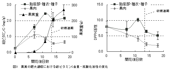 図3 果実の肥大過程における総ビタミンC含量・抗酸化活性の変化