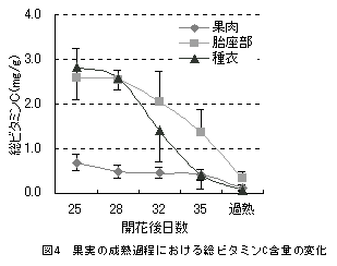 図4 果実の成熟過程における総ビタミンC含量の変化