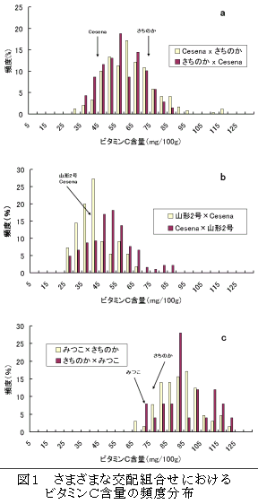 図1 さまざまな交配組合せにおける ビタミンC含量の頻度分布