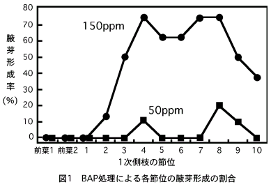 図1.BAP処理による各節位の腋芽形成の割合