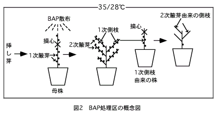 図2.BAP処理区の概念図