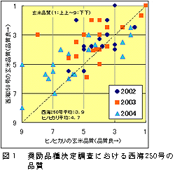 図1 奨励品種決定調査における西海250号の品質