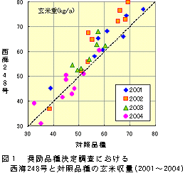 図1 奨励品種決定調査における 西海248号と対照品種の玄米収量