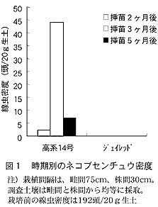 図1 時期別のネコブセンチュウ密度