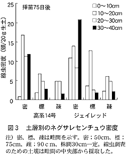 図3 土層別のネグサレセンチュウ密度