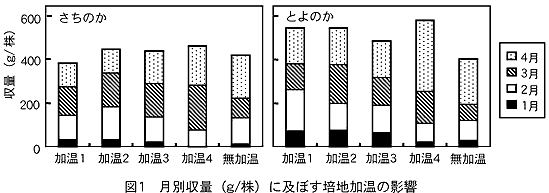 図1 月別収量(g/株)に及ぼす培地加温の影響