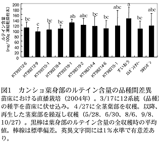 図1 カンショ葉身部のルテイン含量の品種間差異 苗床における直播栽培(2004 年)