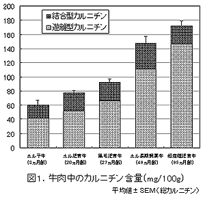 図1.牛肉中のカルニチン含量