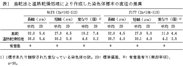 表1 風乾法と温熱乾燥処理により作成した染色体標本の直径の差異