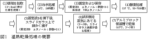 図1 温熱乾燥処理の概要