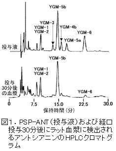 図1.PSP-ANT(投与液)および経口 投与30分後にラット血漿に検出さ れるアントシアニンのHPLCクロマト グラム