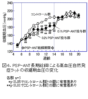 図4.PSP-ANT長期給餌による高血圧自然発 症ラットの収縮期血圧の変化