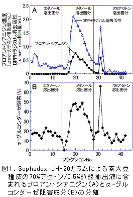 図1.Sephadex LH-20カラムによる茶大豆 種皮の70%アセトン/0.5%酢酸抽出液に含 まれるプロアントシアニジン(A)とα-グル コシダーゼ阻害成分(B)の分離