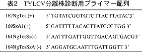 表2 TYLCV分離株診断用プライマー配列