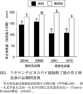 図2 フタテンチビヨコバイ放飼終了後の草丈伸長 量の品種間差異