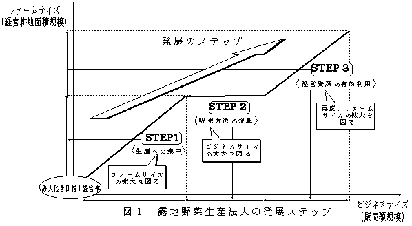 図1.露地野菜生産法人の発展ステップ