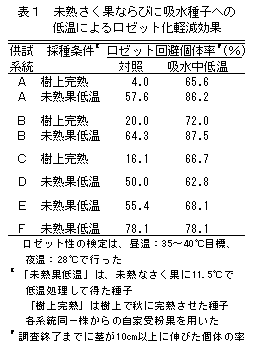 表1 未熟さく果ならびに吸水種子への 低温によるロゼット化軽減効果