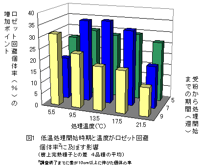 図1 低温処理開始時期と温度がロゼット回避個体率に及ぼす影響
