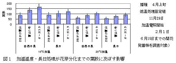 図1 加温温度・長日処理が花芽分化までの葉数に及ぼす影響