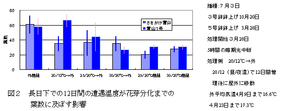 図2 長日下での12日間の遭遇温度が花芽分化までの葉数に及ぼす影響
