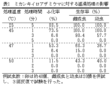 表1 ミカンキイロアザミウマに対する温湯処理の影響